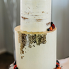 Wedding cake with fruit and edible gold leaf✨