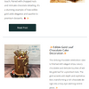 March Newsletter 2026
