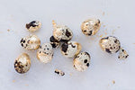 5 Loose Leaves Booklet 24ct Pure Edible Gold Leaf 80 x 80mm